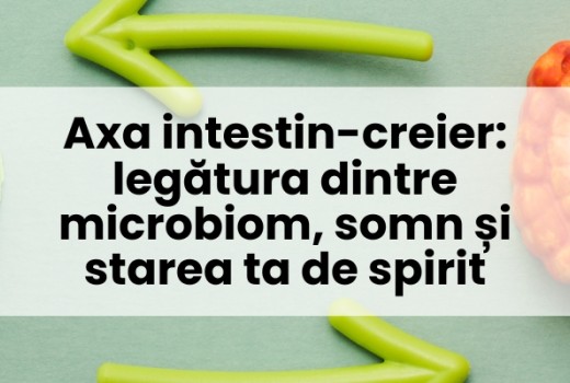 Axa intestin-creier: legătura dintre microbiom, somn și starea ta de spirit