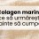 Colagen marin: ce să urmărești înainte să cumperi
