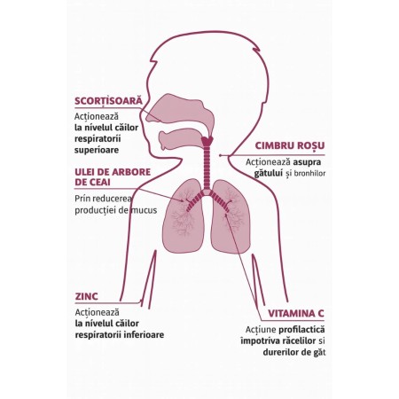 BabyGola Spray Pentru Gat (15ml), Erbenobili