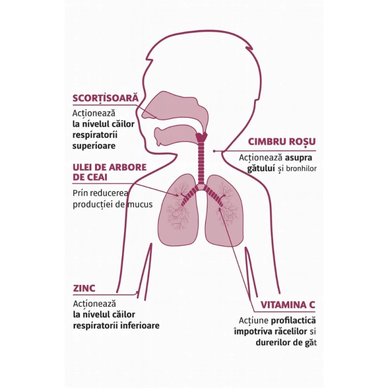 BabyGola Spray Pentru Gat (15ml), Erbenobili