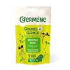 Seminte de Broccoli Rabe pentru germinat eco (150 grame), Germline