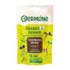 Seminte de floarea soarelui pentru germinat eco (100 grame), Germline