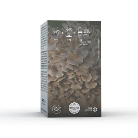 Mico-Polypor sistem uro-genital, drenor limfatic (70 capsule), Hifas da Terra Spania