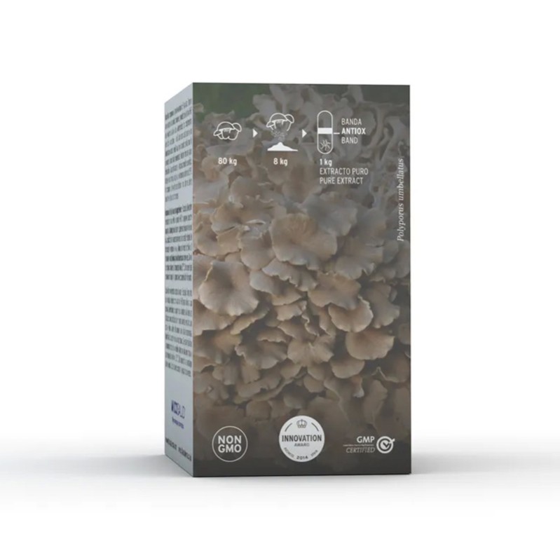 Mico-Polypor sistem uro-genital, drenor limfatic (70 capsule), Hifas da Terra Spania