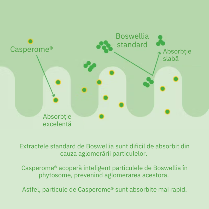 Curcumin Theracurmin Plus Boswellia Phytosome (60 capsule), Neutrient