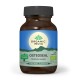Osteoseal - sanatatea oaselor (60 capsule), Oganic India