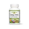 Ginkgo biloba Forte 60 mg (120 capsule), Natural Factors