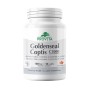 Goldenseal Coptis C1000 Forte (90 capsule), Provita Nutrition