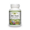 Milk Thistle din armurariu 250 mg (90 capsule), Natural Factors