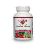 Extract concentrat de cranberry 500 mg (90 capsule), Natural Factors