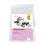 Zahar din mesteacan finlandez premium (750 grame), Raab Vitalfood