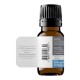 Ulei Esential Eucalipt 100% Organic (10 ml), SOiL