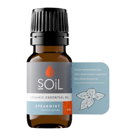 Ulei Esential Menta creata 100% Organic (10 ml), SOiL