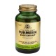 Turmeric Root Extract (60 capsule), Solgar