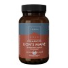 Fermented Lion's Mane (50 capsule), Terranova