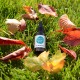 Viridikid D3 Picaturi 400UI (30ml), Viridian