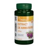 Extract de Armurariu (Silimarina) 500 mg (80 capsule), Vitaking