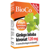 Extract de Ginkgo Biloba 120mg (90 comprimate), BioCo