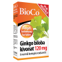 Extract de Ginkgo Biloba 120mg (90 comprimate), BioCo