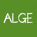 Alge