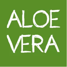 Aloe vera Aloe vera