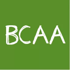 BCAA BCAA