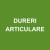 Dureri articulare