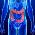 Colon