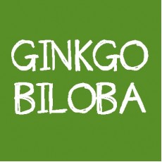 Ginkgo biloba