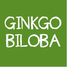 Ginkgo biloba Ginkgo biloba