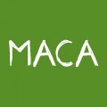 Maca
