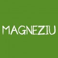 Magneziu