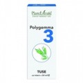 Polygemma