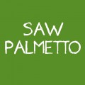 Palmier pitic