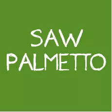 Palmier pitic Palmier pitic