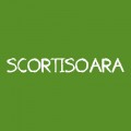 Scortisoara