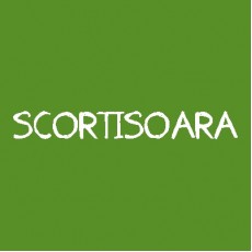 Scortisoara