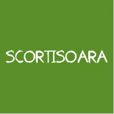 Scortisoara Scortisoara