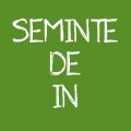 Seminte de in