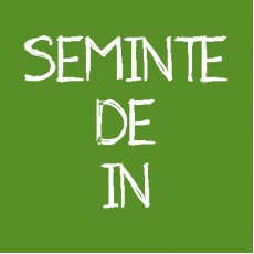 Seminte de in