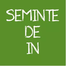Seminte de in Seminte de in
