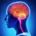 Sistem cognitiv