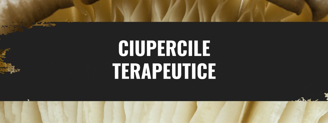 Ciupercile terapeutrice