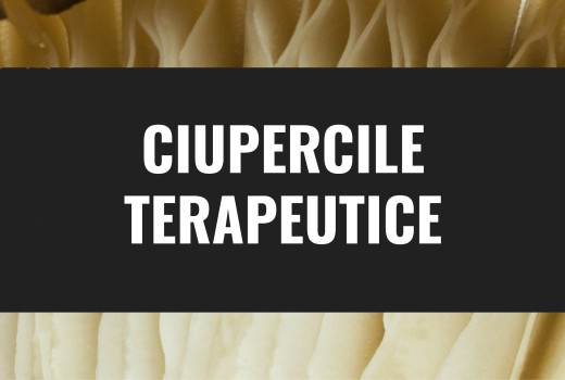 Ciupercile terapeutrice
