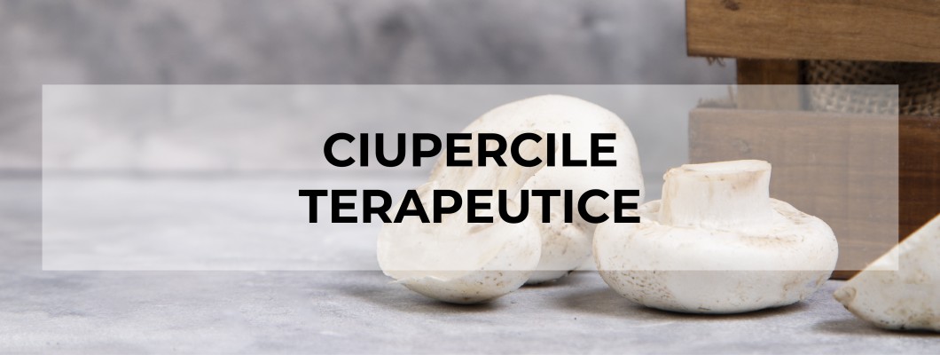 Ciupercile Terapeutice - De la traditie la stiinta