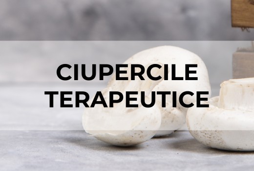 Ciupercile Terapeutice - De la traditie la stiinta