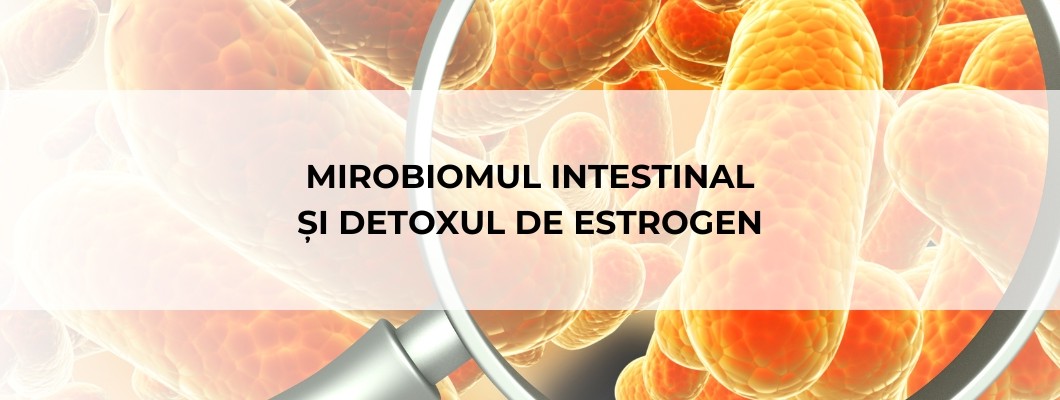 Mirobiomul intestinal și detoxul de estrogen