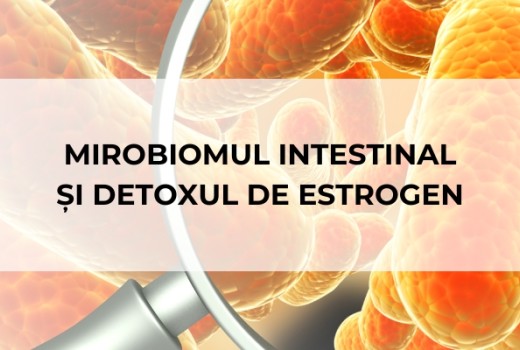 Mirobiomul intestinal și detoxul de estrogen