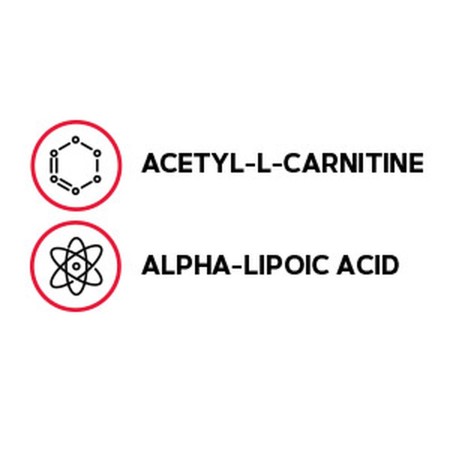 Ala acetil L-carnitina 500 mg si acid alfa lipoic 200 mg (60 tb), GNC Live Well