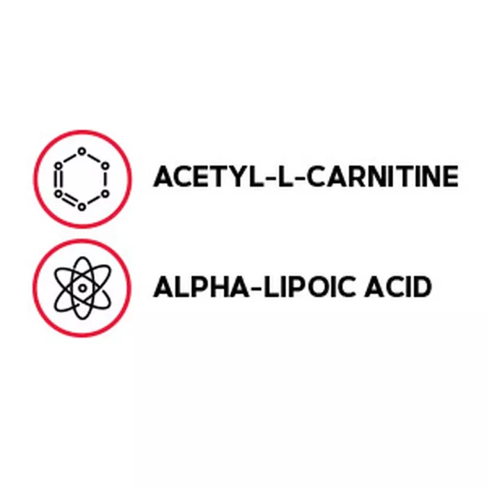 Gnc Acetyl-l-carnitine Alpha-lipoic Acid, Ala Acetil L-carnitina 500 Mg Si Acid Alfa Lipoic 200 Mg, 60 Tb Gnc Acetyl-l-carnitine Alpha-lipoic Acid, Ala Acetil L-carnitina 500 Mg Si Acid Alfa Lipoic 200 Mg, 60 Tb